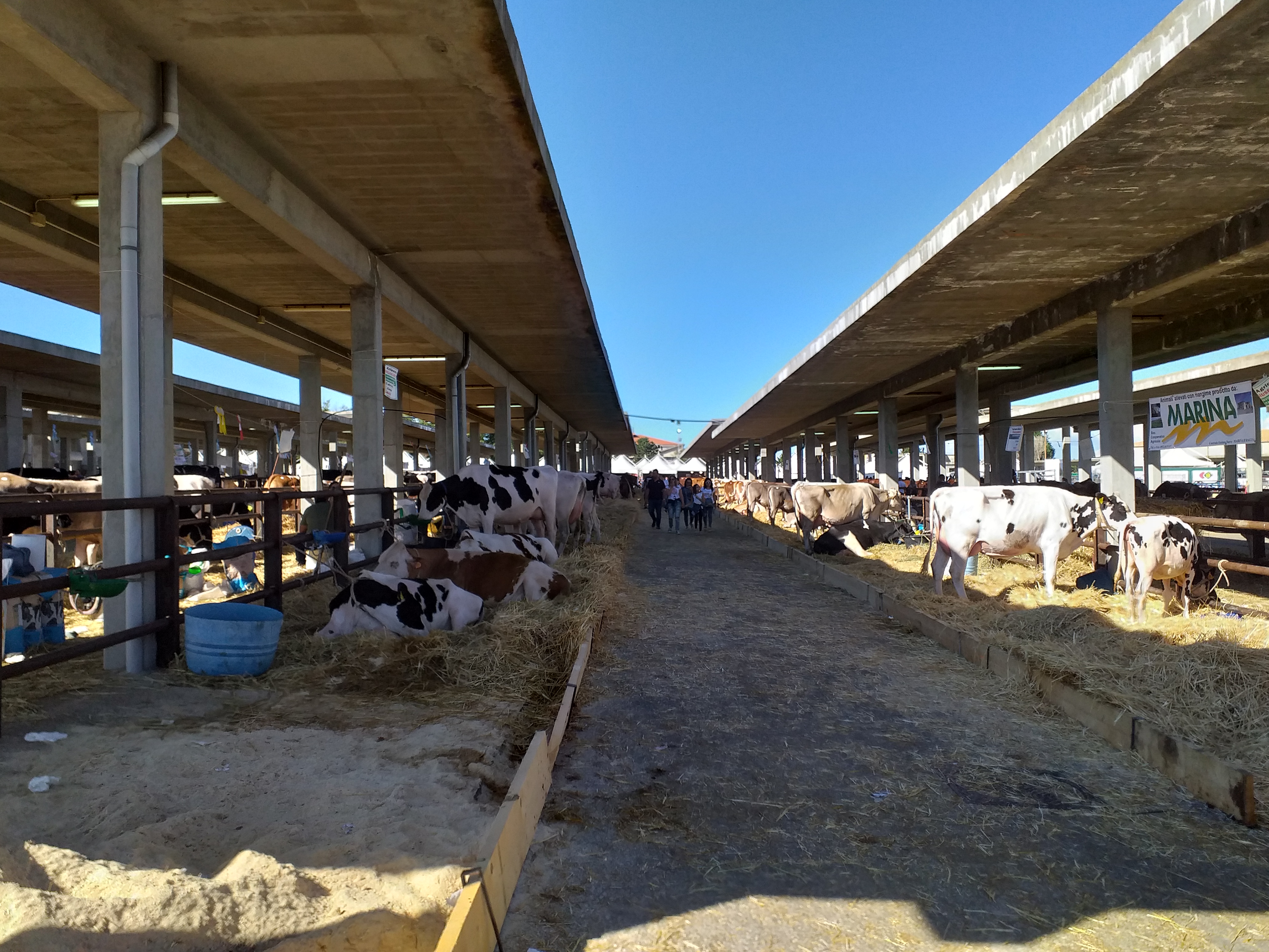 Chiude la Fiera Agroalimentare Mediterranea, con decine di migliaia di visitatori. Mai si era vista una presenza così corposa